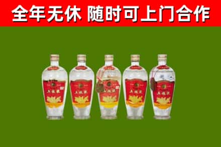 瓜州烟酒回收公斤五粮液.jpg